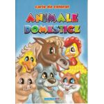 Animale Domestice carte de colorat