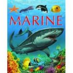 Animale marine pe intelesul copiilor - Emilie Beaumont