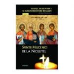 Sfinții Mucenici de la Niculițel - Theodorescu Silvan