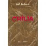 Chilia - Grid Modorcea