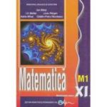 MATEMATICĂ M1. Manual. Clasa a XI-a
