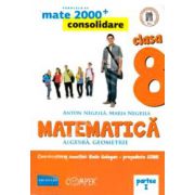 Mate 2000 pentru clasa a VIII-a. Partea I, CONSOLIDARE. Matematica - Algebra, geometrie.