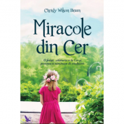 Miracole din Cer - Wilson Beam Christy