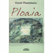Ploaia - Viorel Ploesteanu