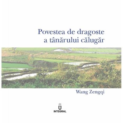 Povestea de dragoste a tânărului călugăr - Wang Zengqi